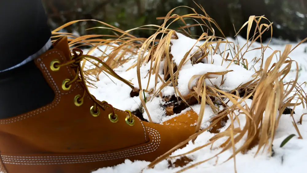 Country boot in snow with brown grass