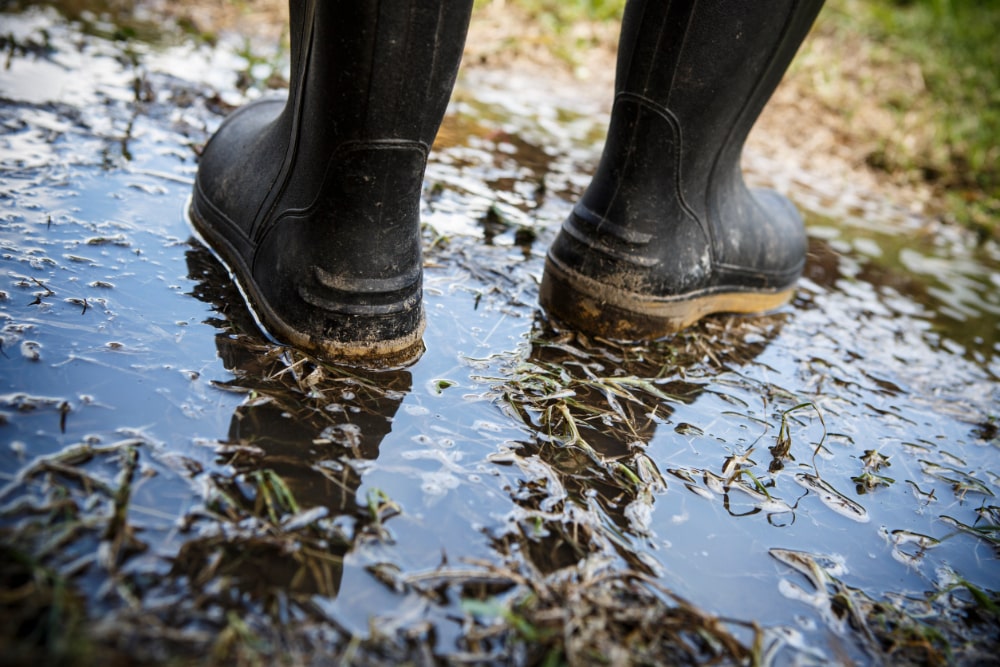 Man wearing a pair of muck boots standing in a puddle of water.